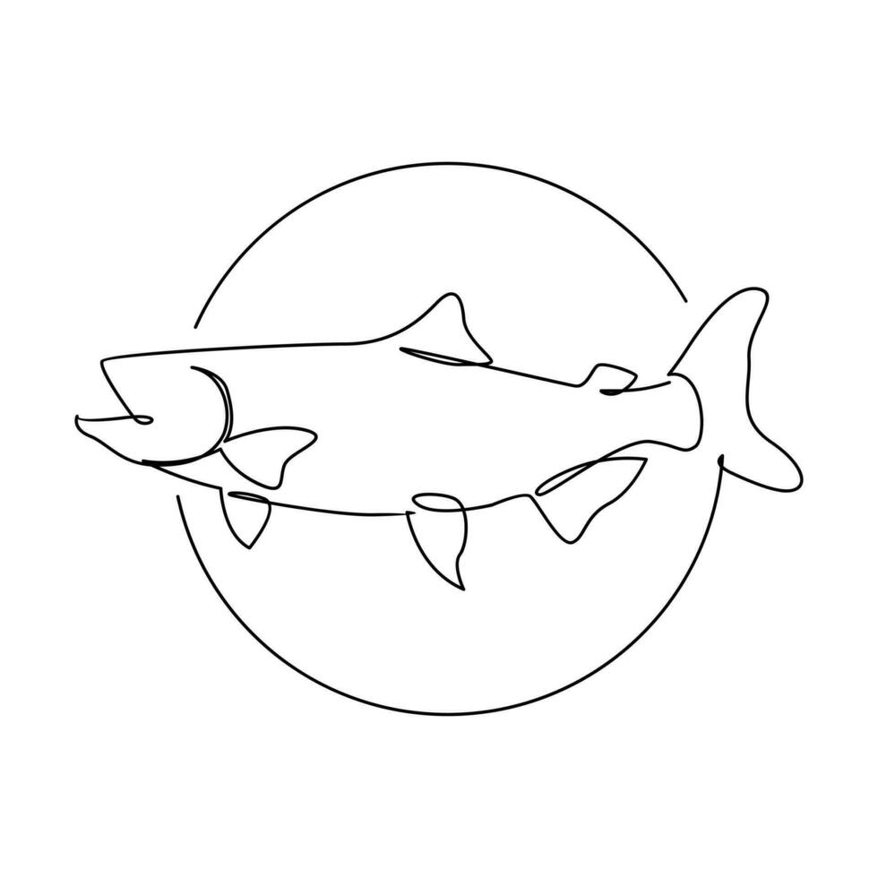 Salmon fish single line illustration vector
