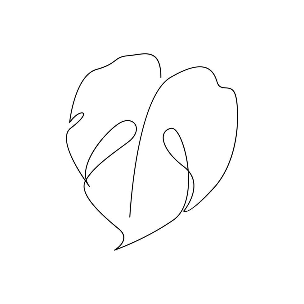 Monstera continuous Line illustration vector