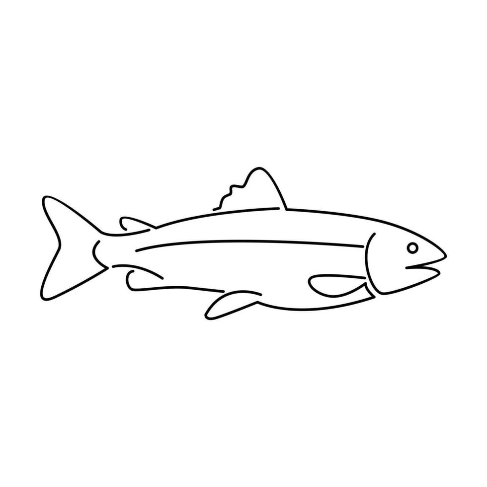 Salmon Fish outline illustration vector