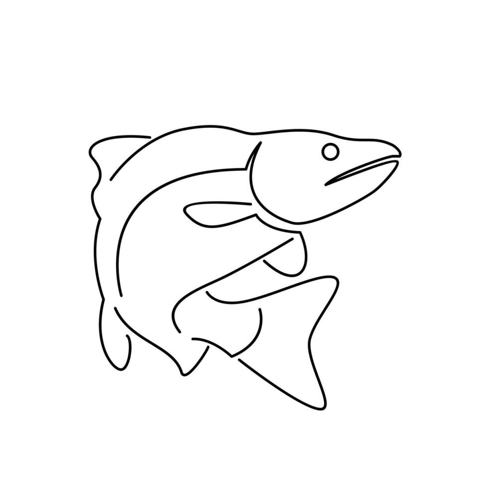 Salmon Fish outline illustration vector