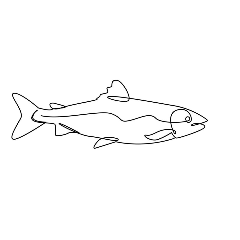 Salmon fish single line illustration vector
