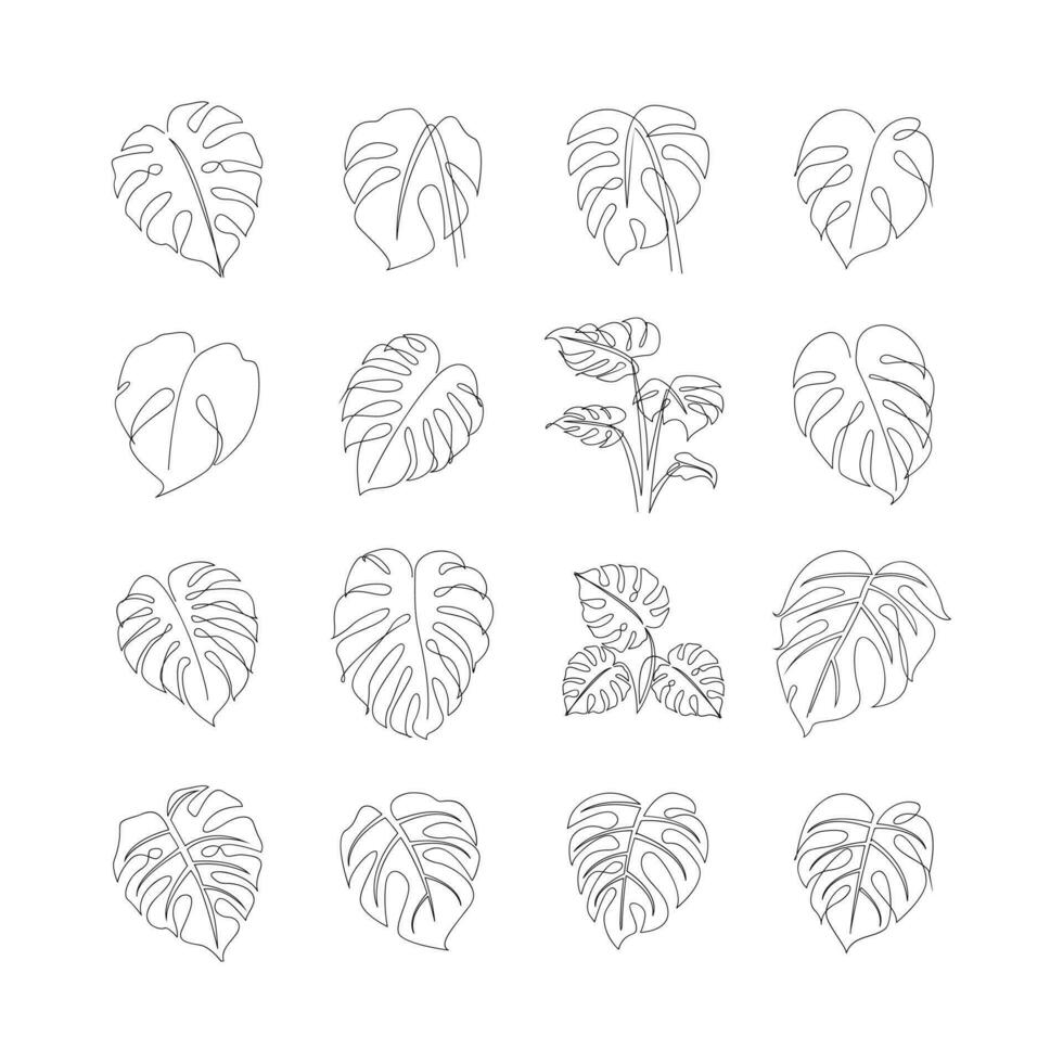 Monstera continuous Line illustration vector