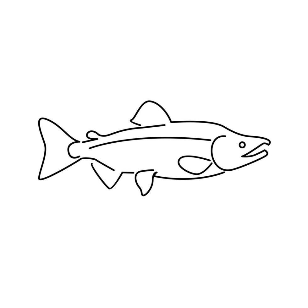 Salmon Fish outline illustration vector