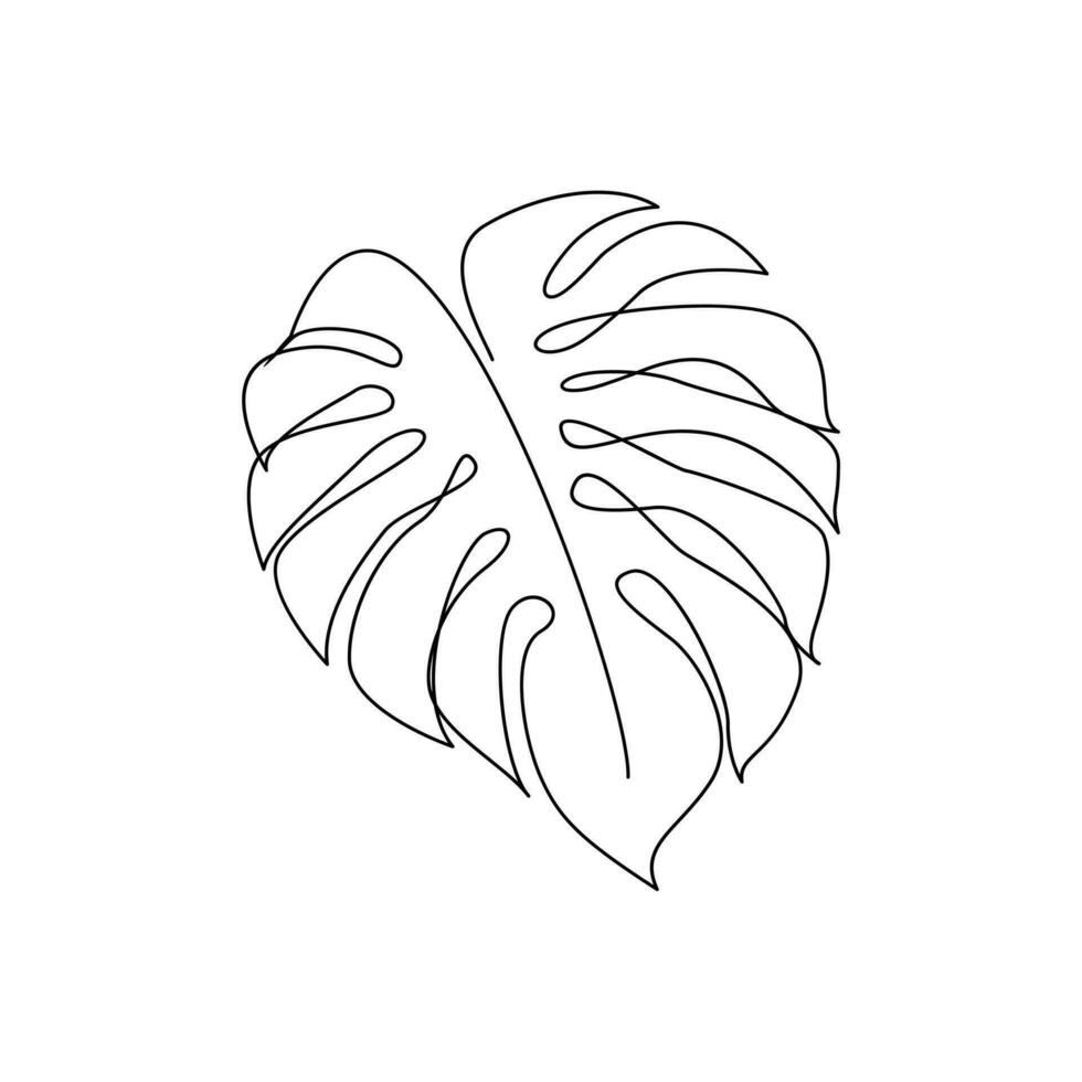 Monstera continuous Line illustration vector