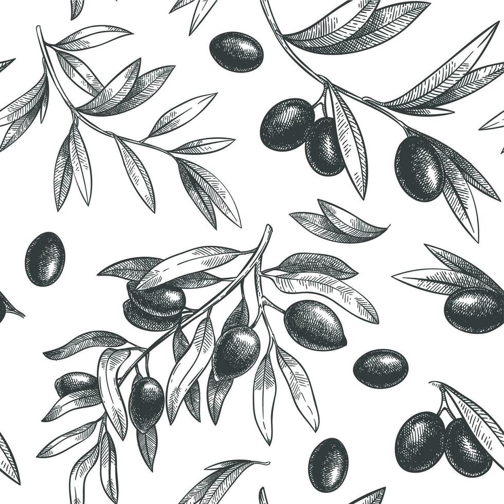 Seamless black olive pattern. Greek olives on branches with leaves, hand drawn sketch vector illustration