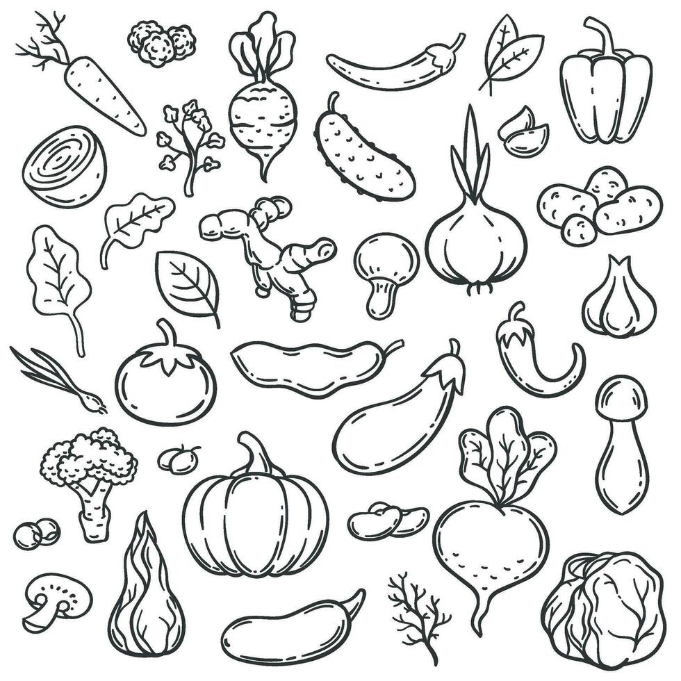 Doodle vegetables. Hand drawn different carrot, onion and cucumber. Ginger, mushroom and garlic, cabbage and tomato veggie food vector set