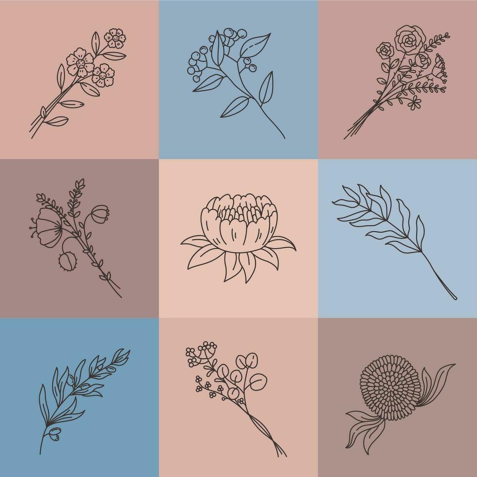 Minimalist line flowers. Simple poster with abstract meadow bouquet. Elegant outline flower, olive branch, herbs and lotus, plant vector set