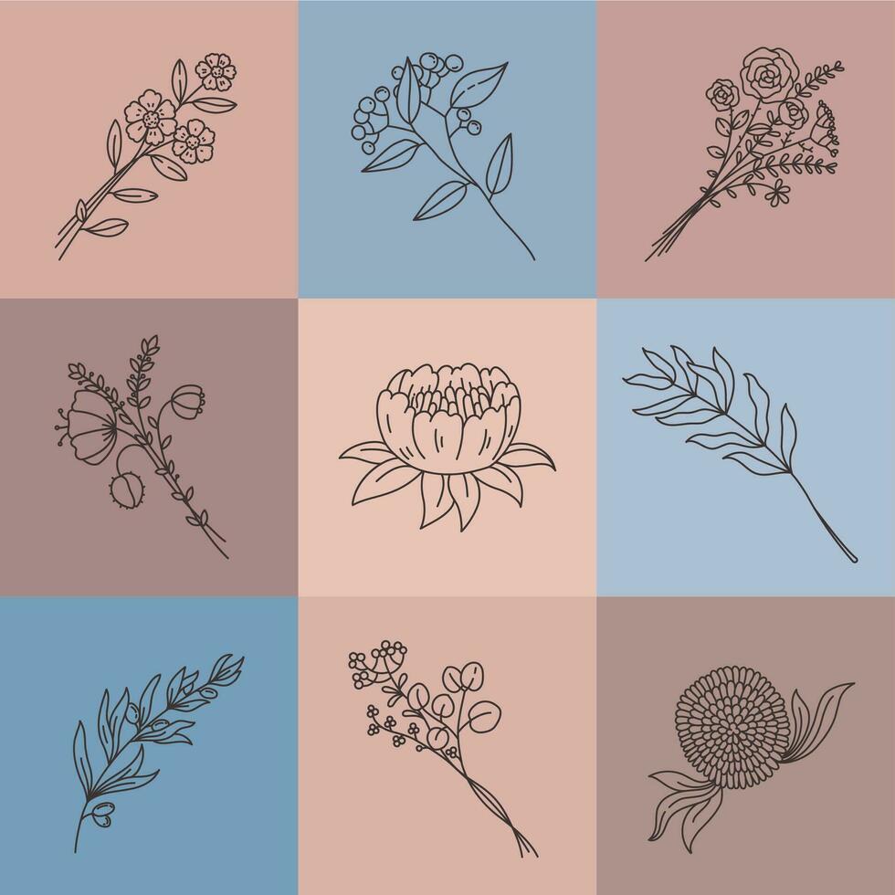 minimalista línea flores sencillo póster con resumen prado ramo. elegante contorno flor, aceituna rama, hierbas y loto, planta vector conjunto