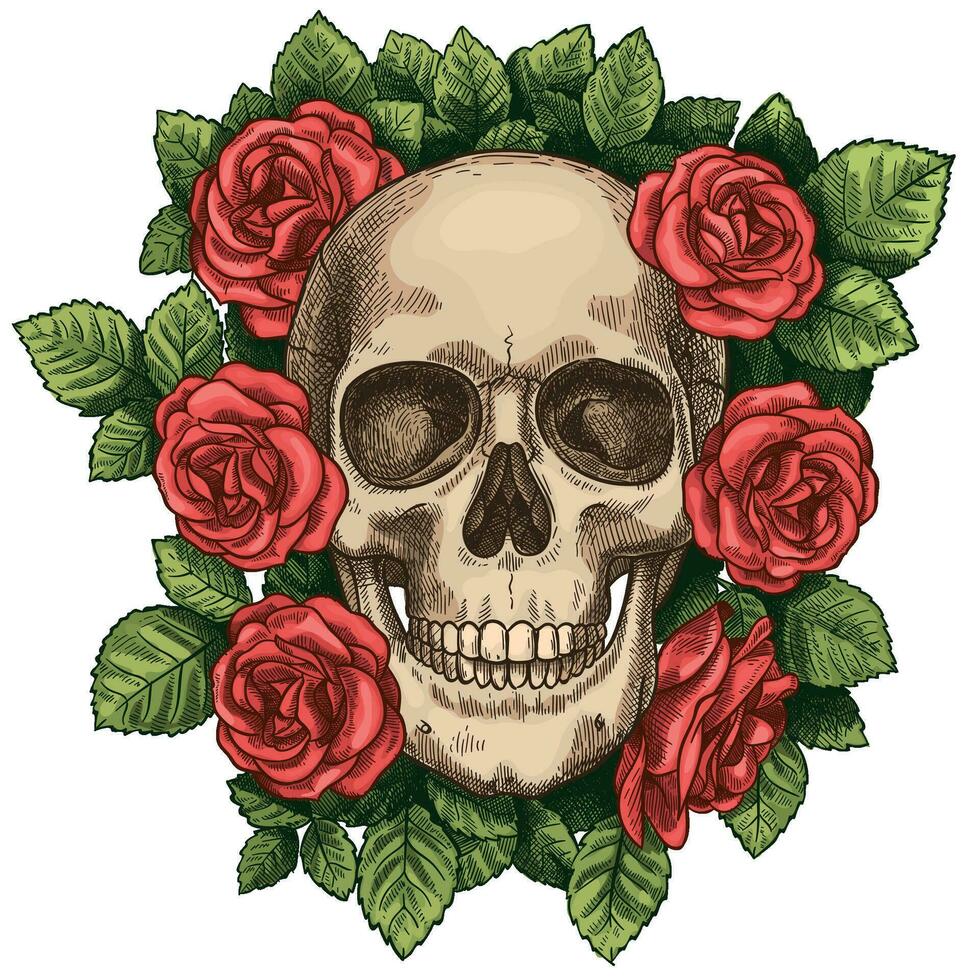 cráneo y rosas. muerto esqueleto cabeza y rojo flores, mano dibujado gótico tatuaje gráfico. Clásico de miedo Víspera de Todos los Santos muerte bosquejo vector símbolo