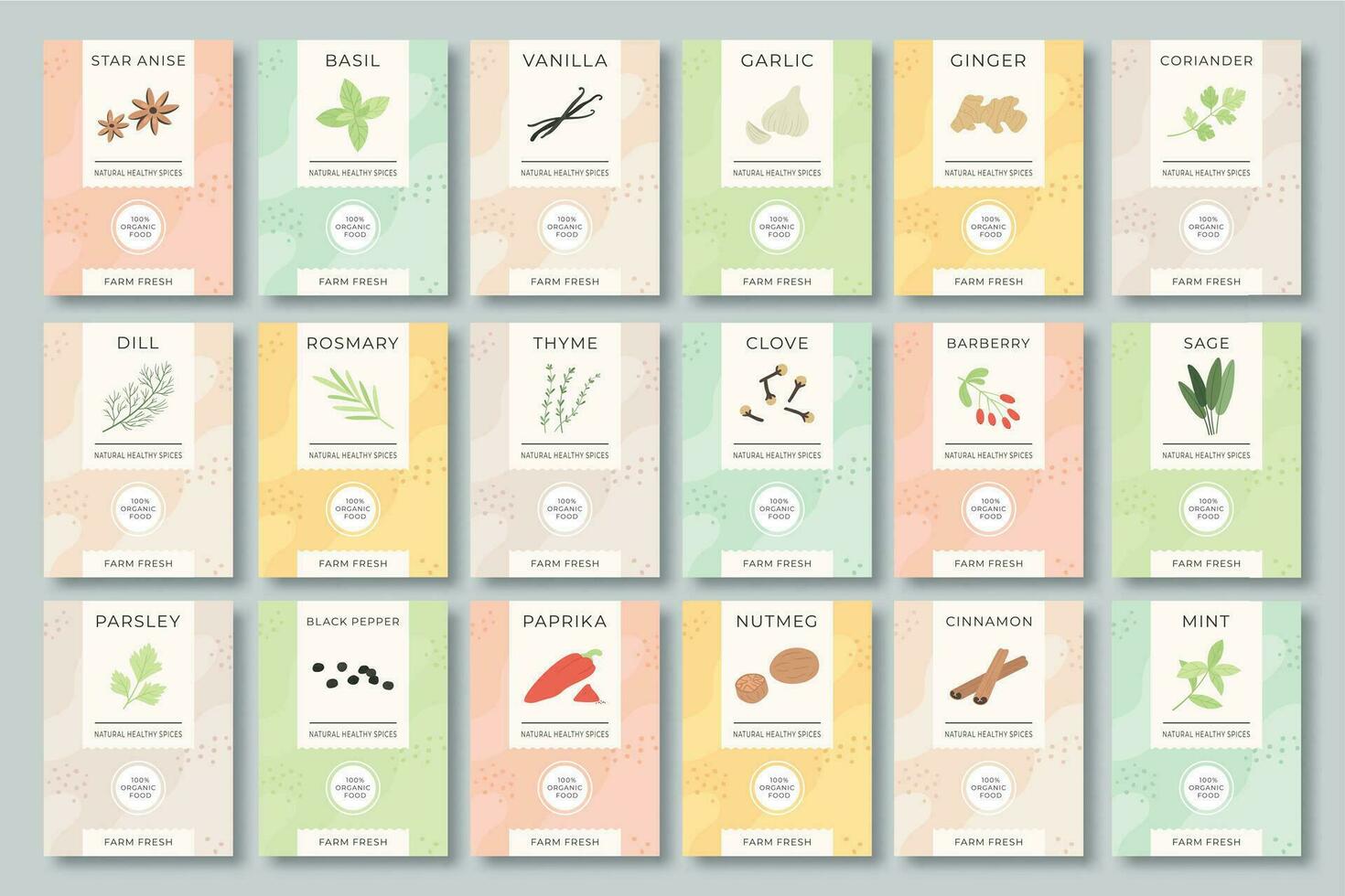 Spices labels. Different aromatic herbs and spices color packaging. Garlic, pepper and basil, spinach and mint organic product vector set.