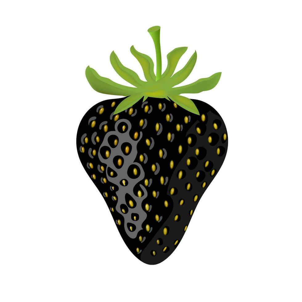 Strawberry black summer fruit on white background. Vector illustration EPS 10. Creative concept.