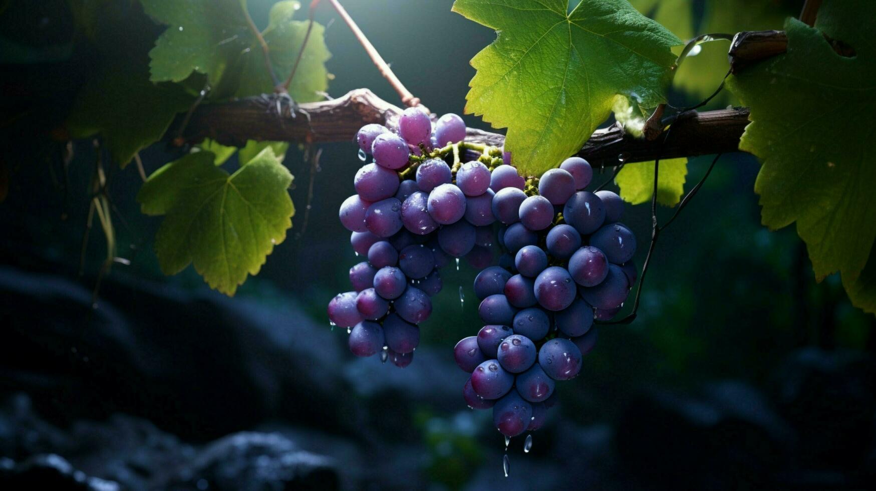 AI generated Grape vine soft background photo