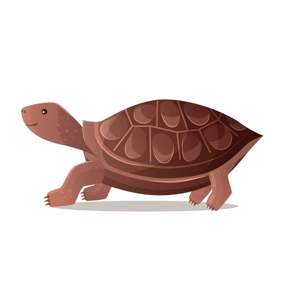 marrón linda tierra Tortuga vector