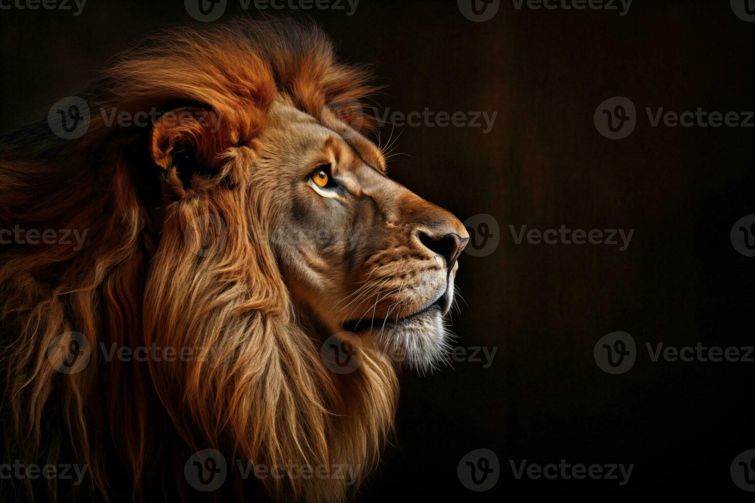 AI generated Portrait of a lion,side view in dark background photo