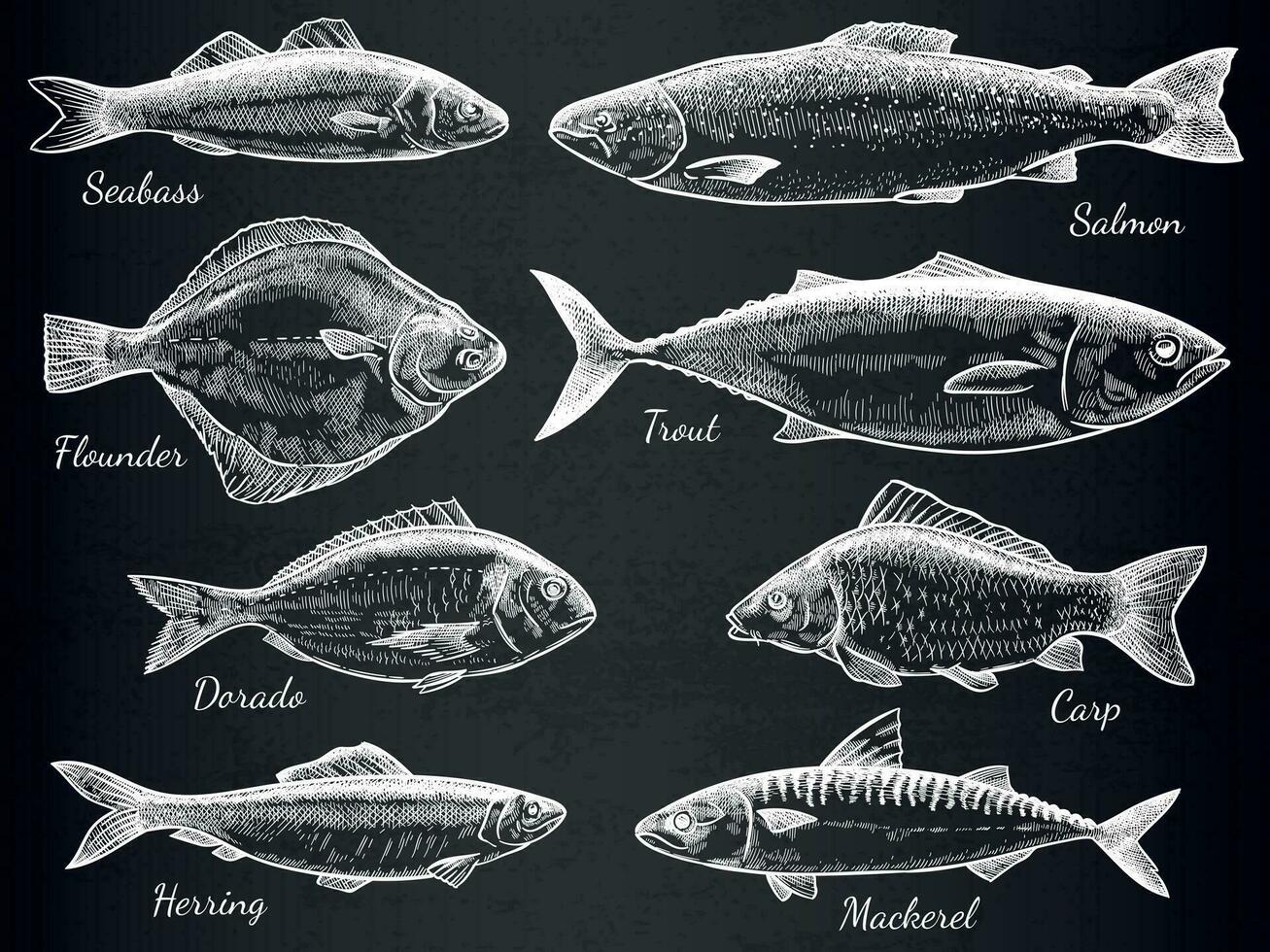 mano dibujado pez. bosquejo varios pescado salmón y carpa, caballa, atún, platija, anchoa, gastronomía peces en negro vector conjunto