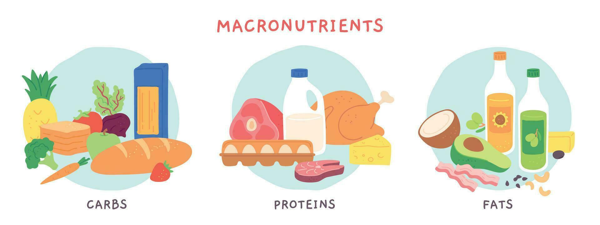 Food macronutrients. Fat, carbohydrate and protein foods groups with fruits and dairy products. Nutrient complex for diet vector infographic