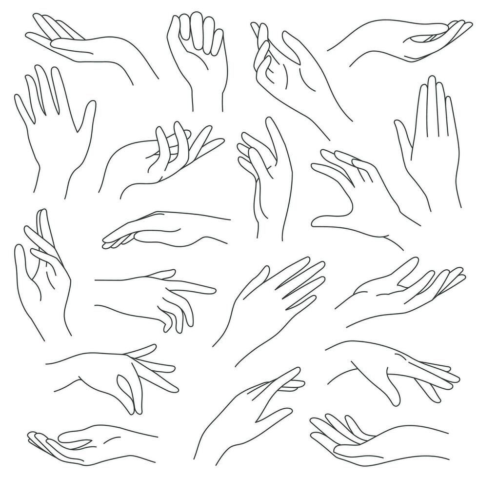 Female hands line. Outline elegant woman hand gestures. Beautiful palm and fingers icons in one line fashion minimalist style, vector set