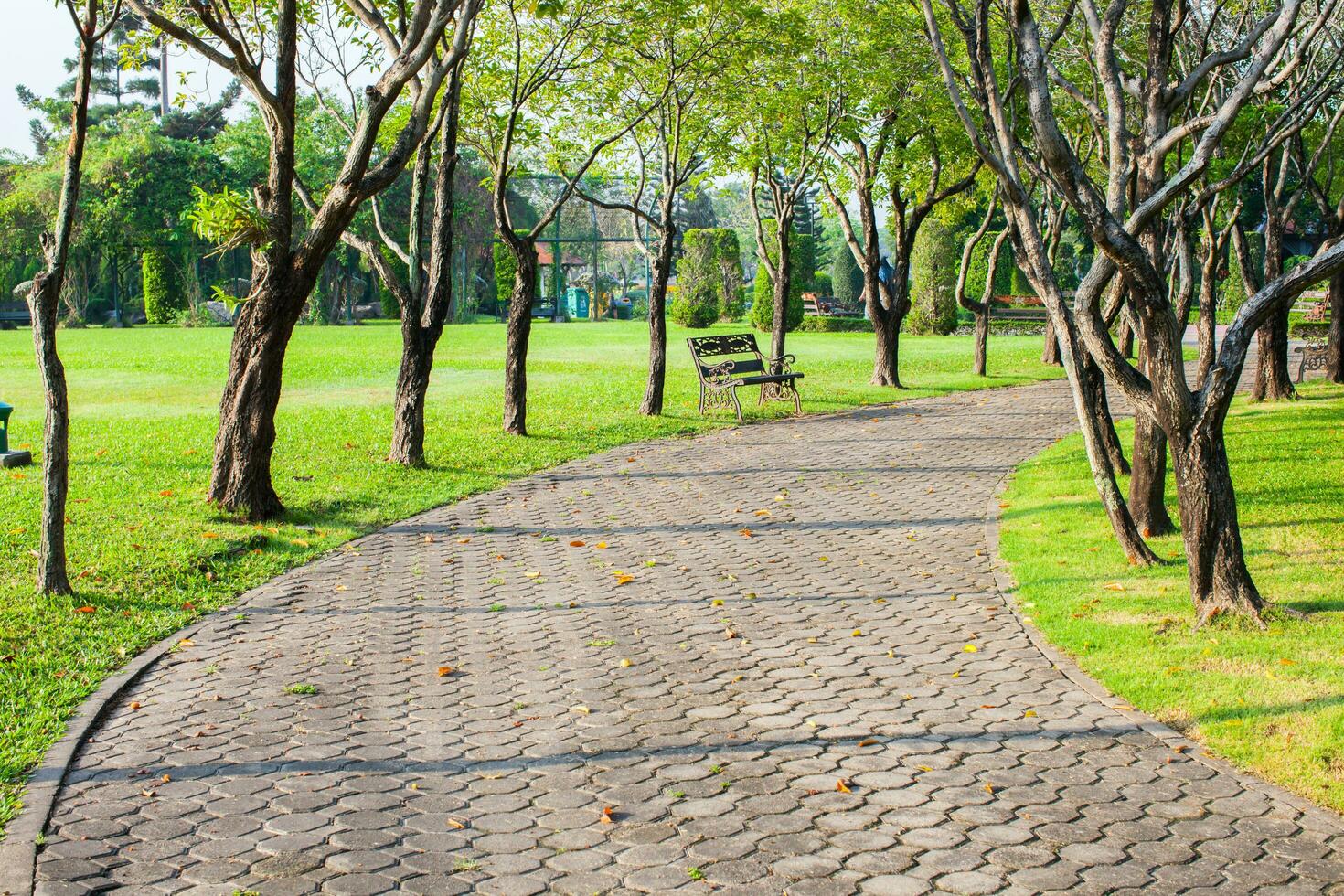 Empthy lanes in park photo