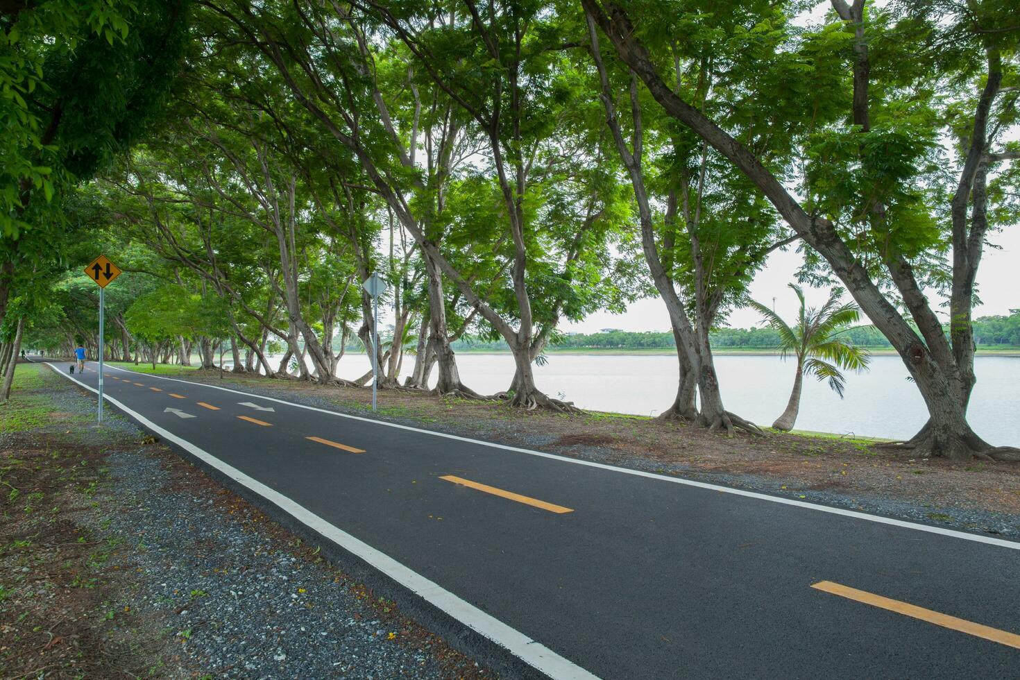 Empthy running lanes of road in park photo