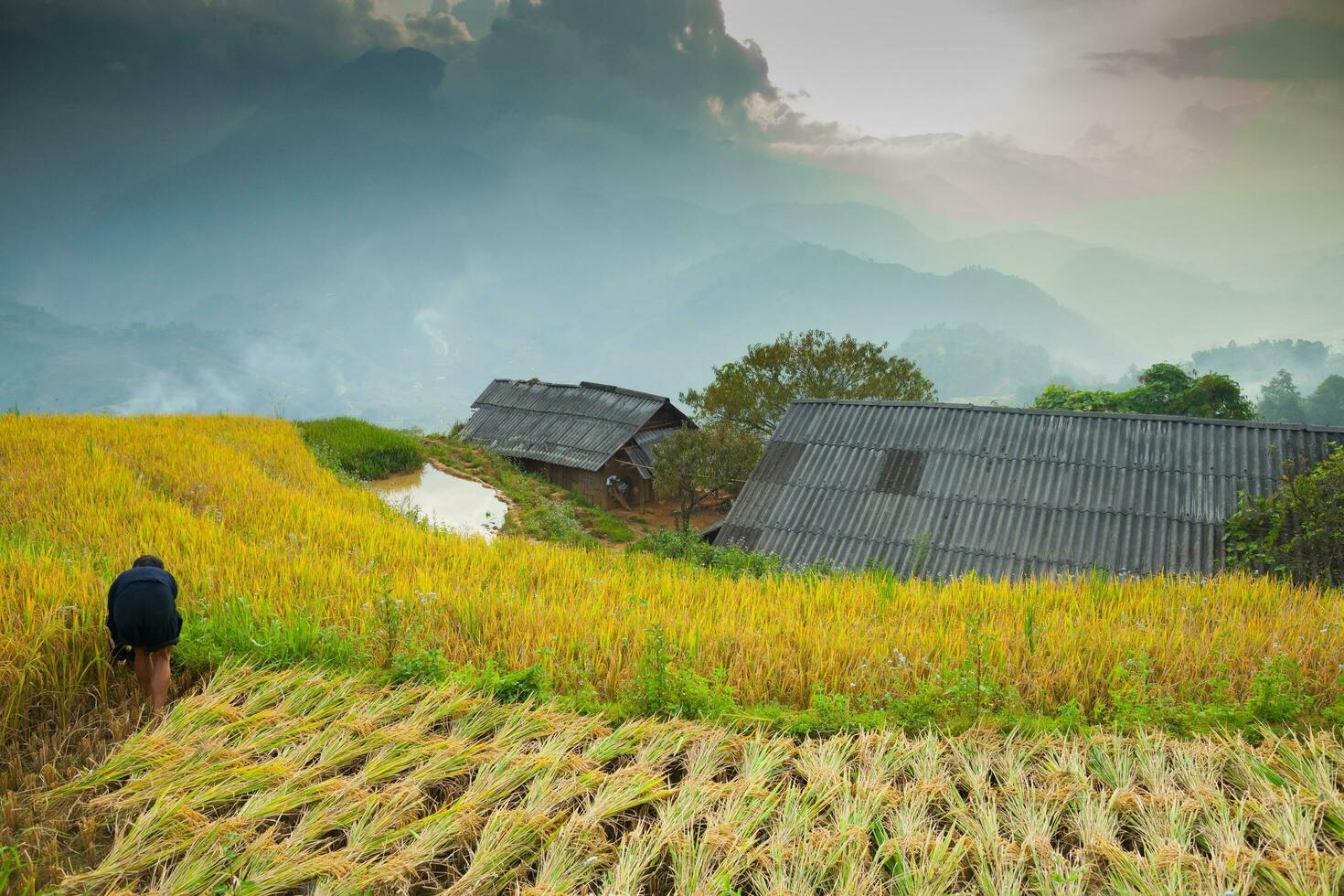 Rice green terrace in front of mountain photo