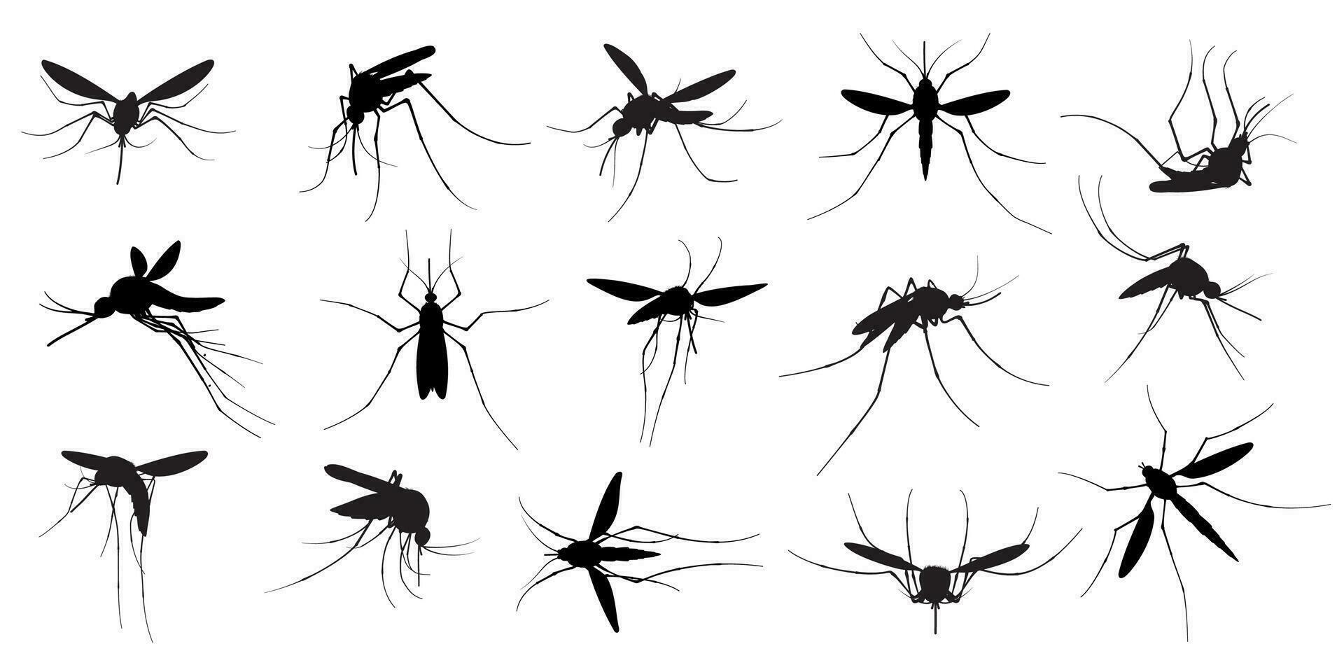 Mosquito silhouette. Flying mosquitoes, swarm insects spreading diseases, dangerous infection and viruses, malaria and dengue. Vector gnats