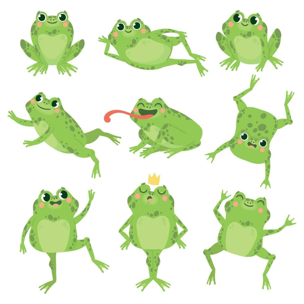 Cute frogs. Green funny frogs in various poses, happy animals group. Smiling active toads, zoo carnivore cartoon vector characters