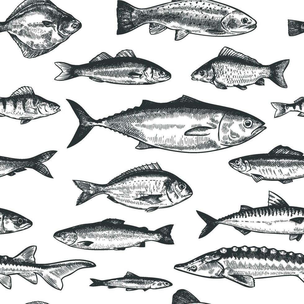 Fish seamless pattern. Hand drawn different sea and river fishes, marine underwater life monochrome print wallpaper sketch vector texture