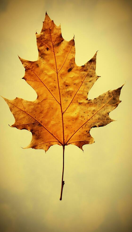 AI generated 4K colorful leaf AMOLED wallpaper photo