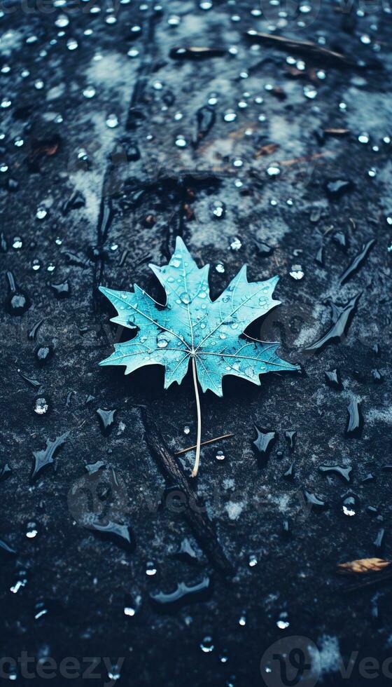 AI generated 4K Colorful leaf AMOLED Wallpaper for Mobile photo
