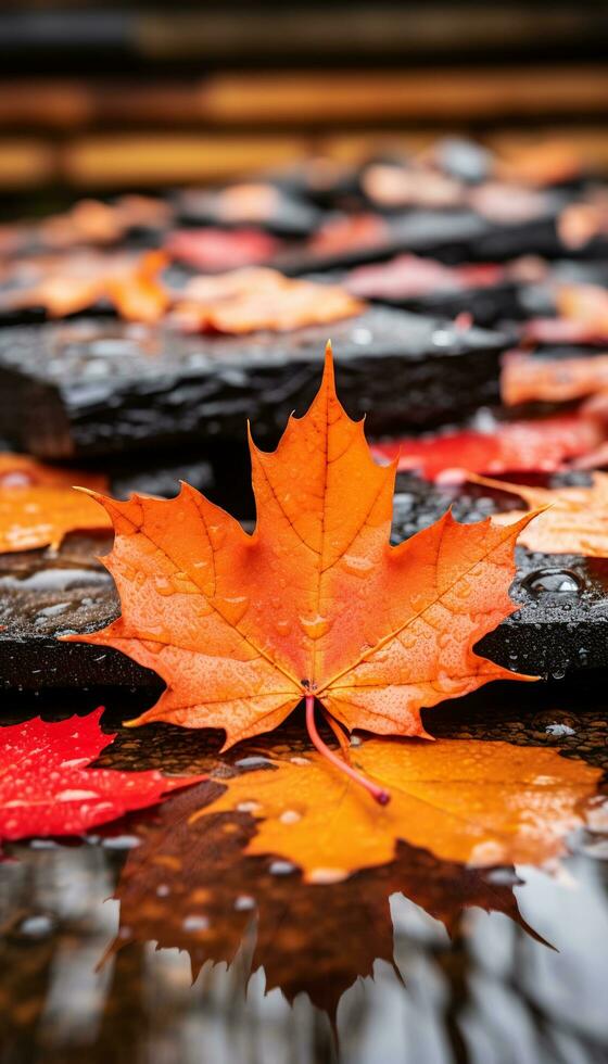 AI generated 4K colorful leaf AMOLED wallpaper photo