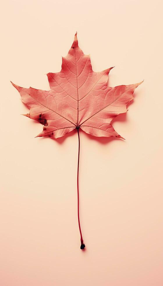 AI generated 4K colorful leaf AMOLED wallpaper for mobile photo