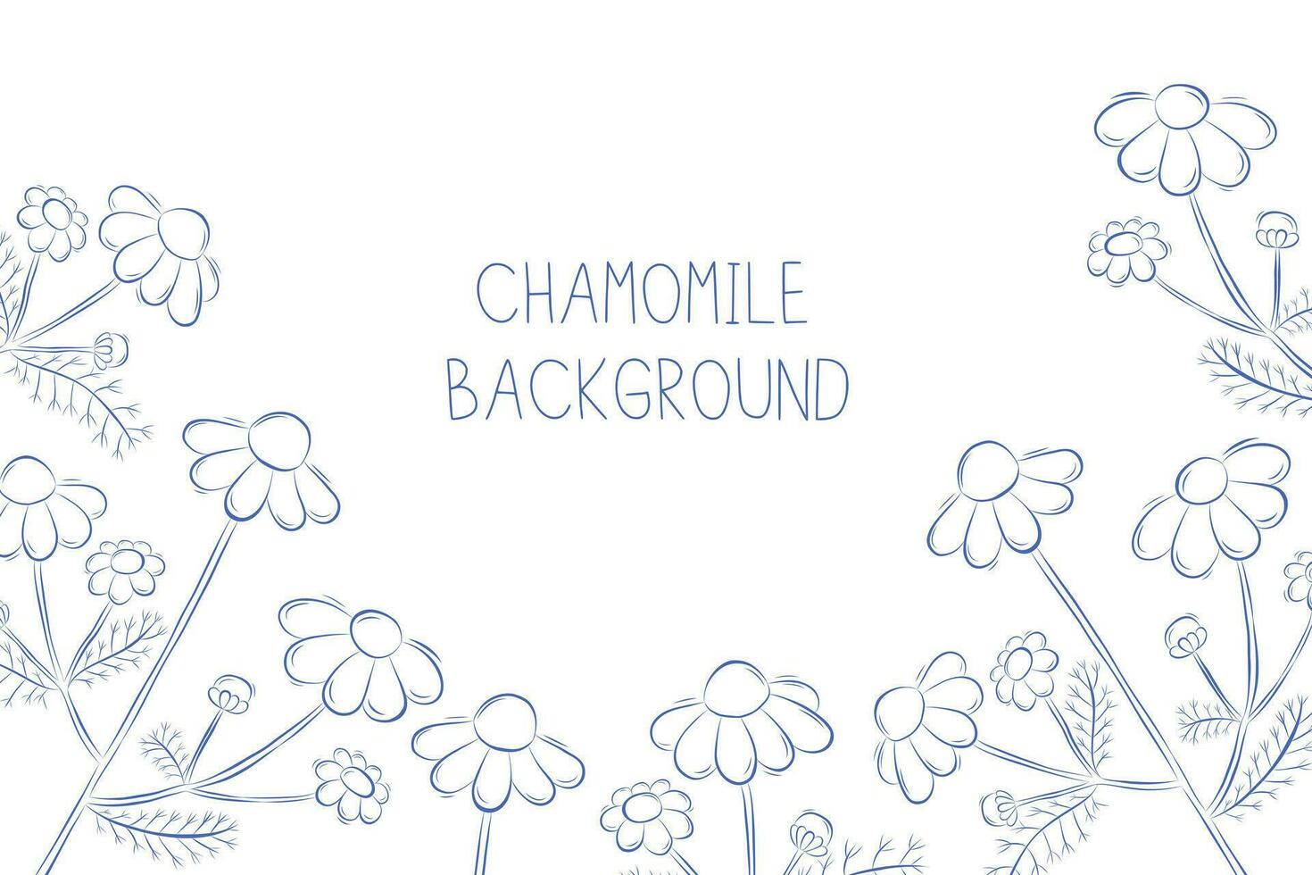 White background with chamomiles frame and copy space. Template in rustic style for wedding ot medical design vector