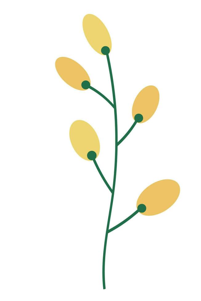 Acacia flower branch hand drawn flat vector illustration of mimosa. Sketch of a spring yellow plant for print, design, typography, print, paper, sign, logo. Beauty, garden and nature