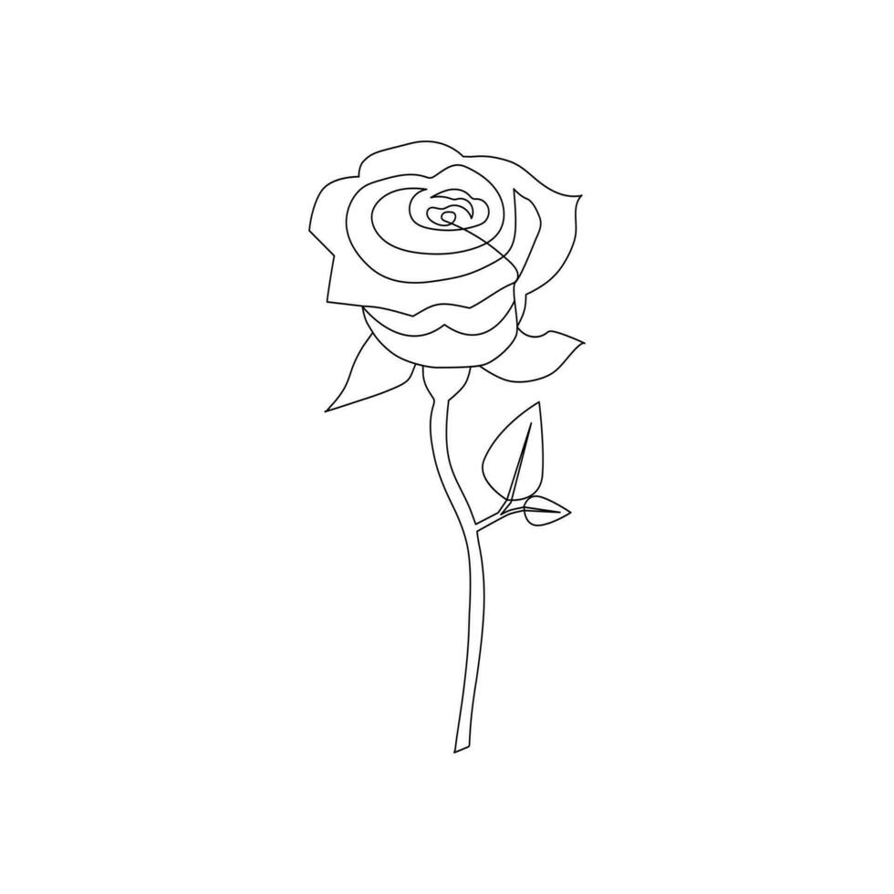 Continuous one-line rose flower drawing and single outline vector art illustration
