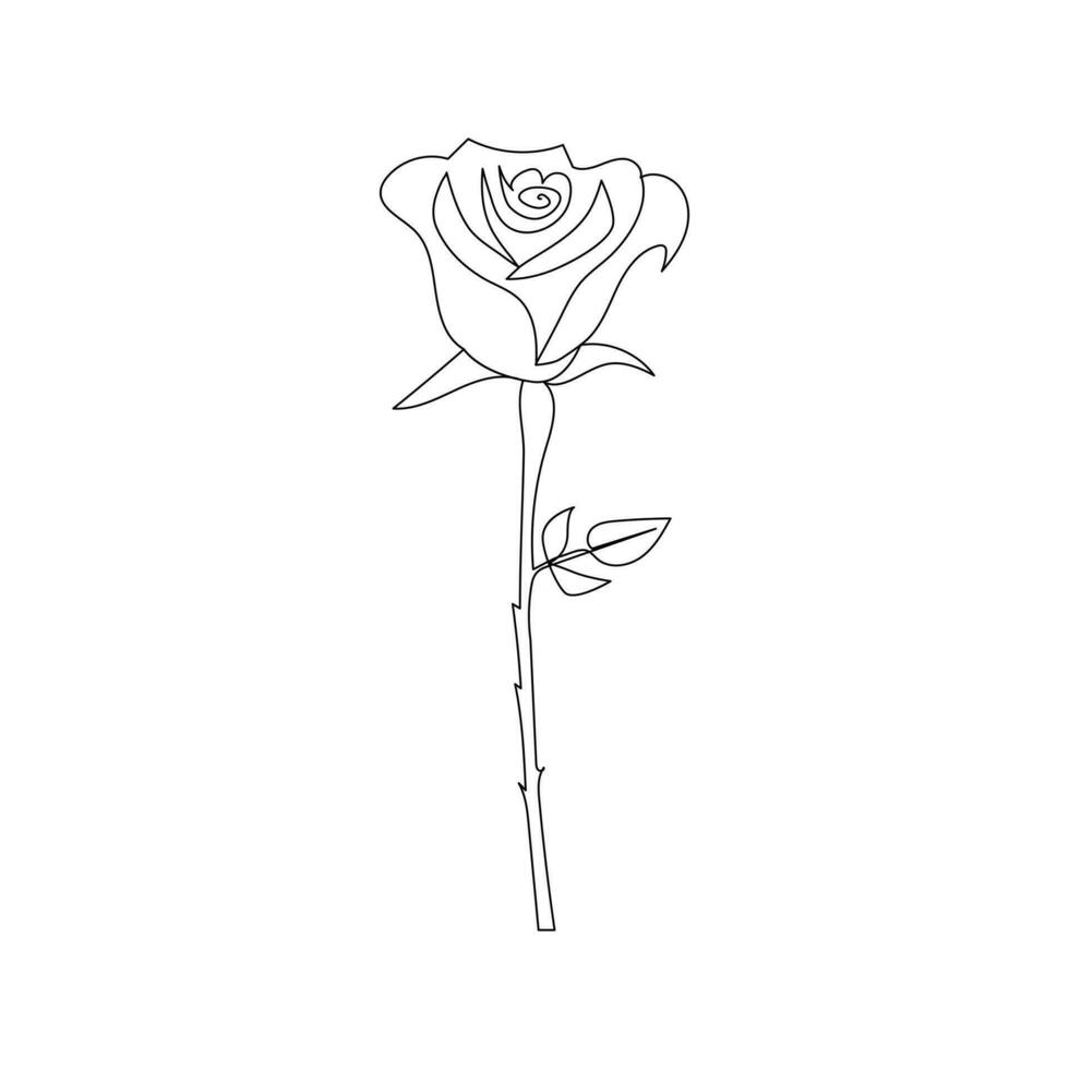 Continuous one-line rose flower drawing and single outline vector art illustration