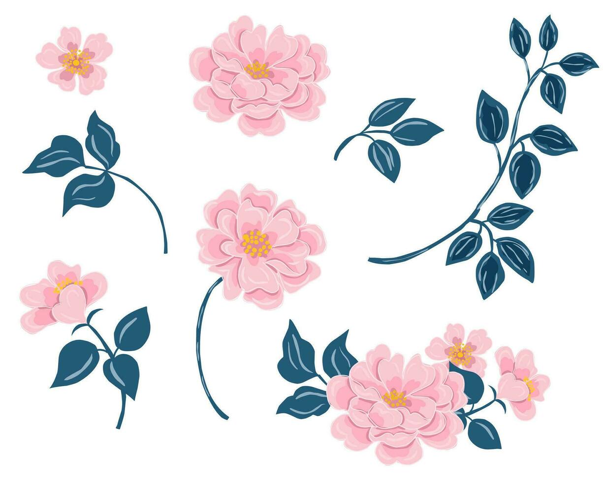 Pink Rose Hand Drawn Flower vector