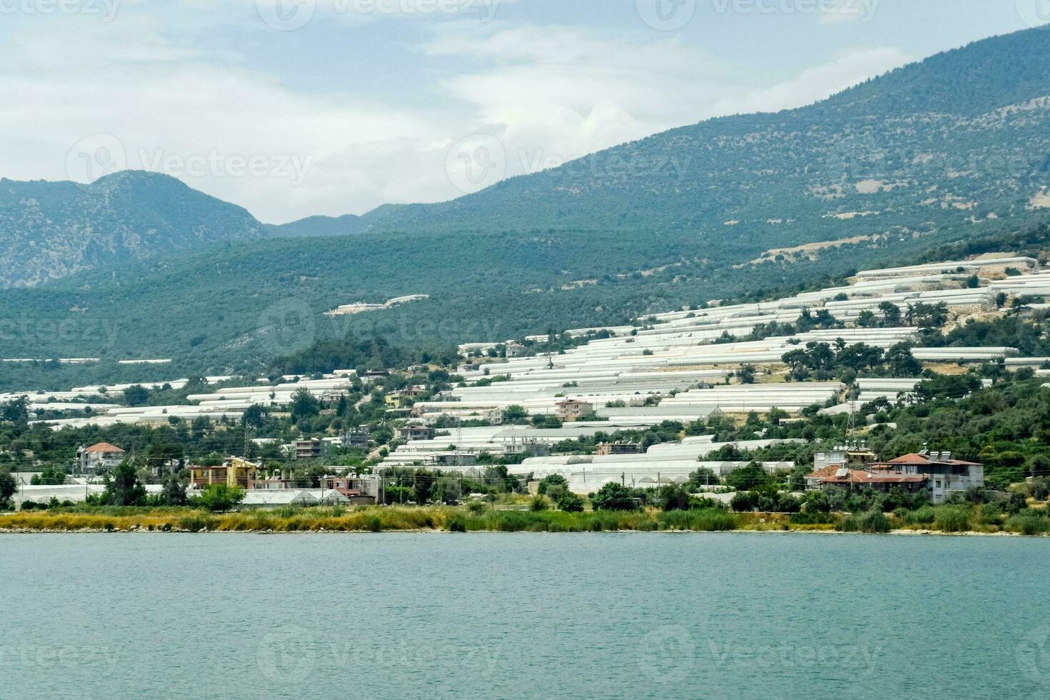 greenhouses on hillsides near the seashore. photo