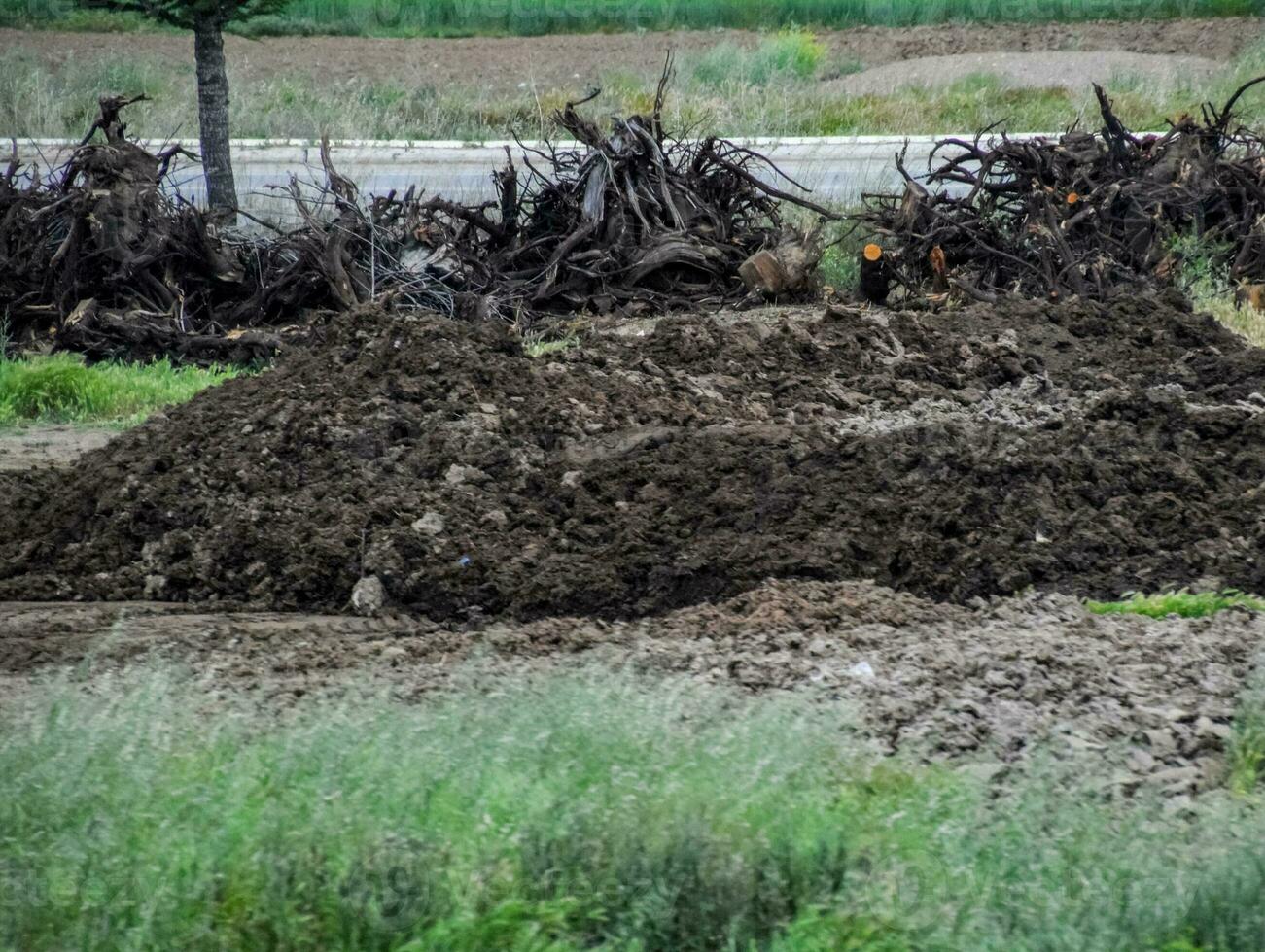 Piles of manure in field. Cow and horse manure with land. photo