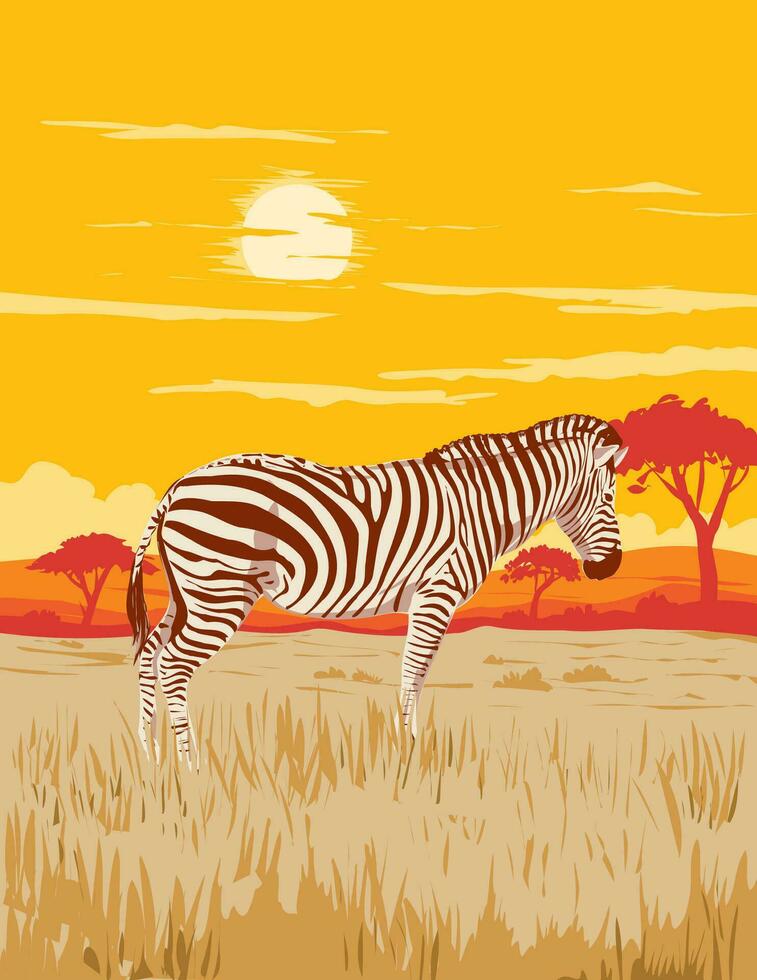 Plains Zebra in Serengeti National Park Northern Tanzania Africa Art Deco WPA Poster Art vector