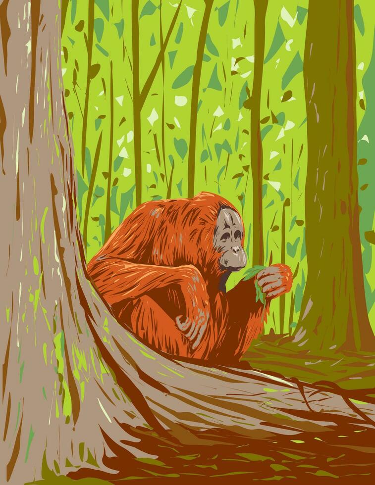 Orangutan in Kutai National Park East Kalimantan Indonesian Borneo Art Deco WPA Poster Art vector