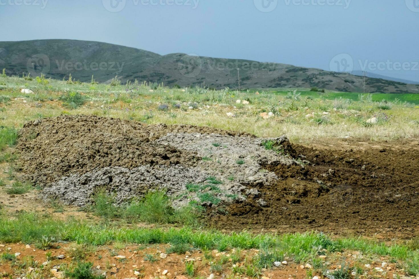 pila de algo de estiércol en campo. vaca y caballo estiércol con tierra. foto