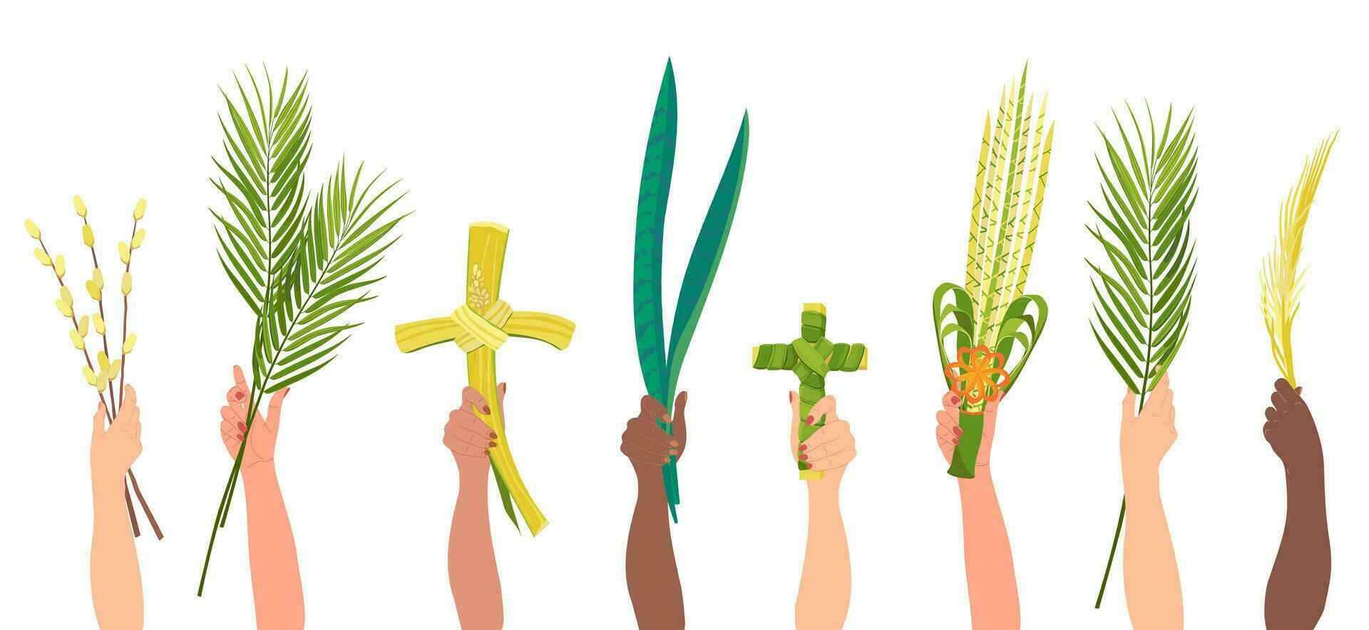 hands with palm branches on Sunday. vector