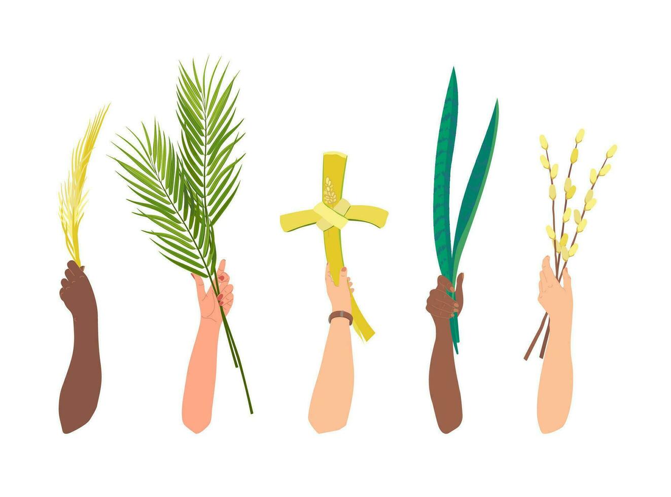 Celebration of palm Sunday Hands branches vector