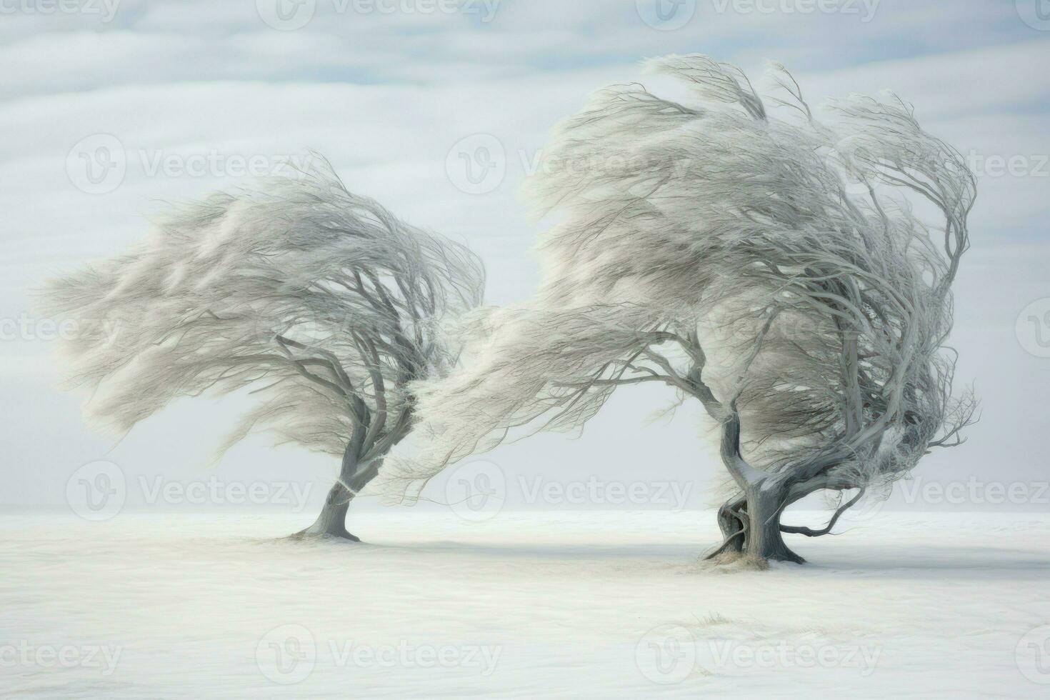 AI generated Winter Windswept Trees - Generative AI photo