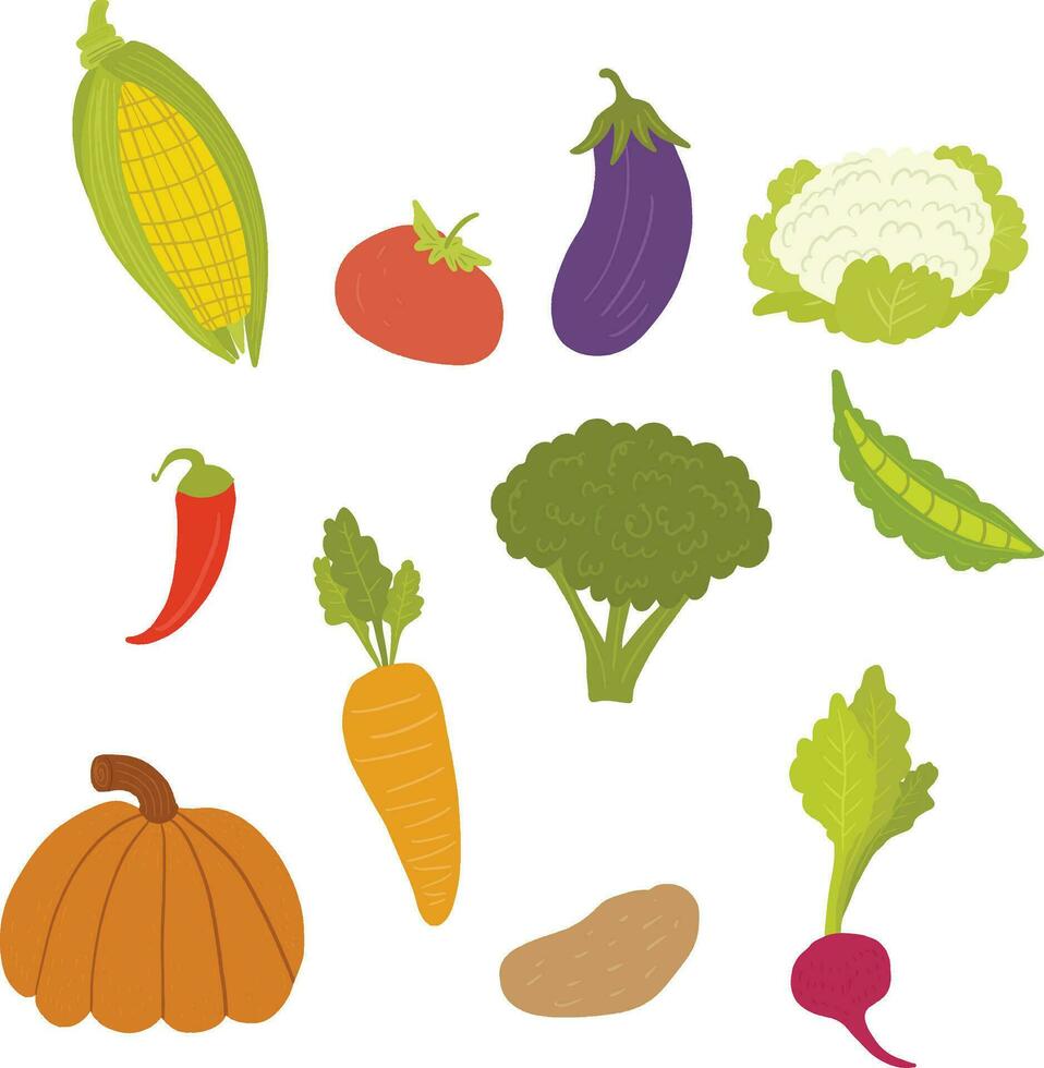 Collection of fresh vegetables in cartoon style vector
