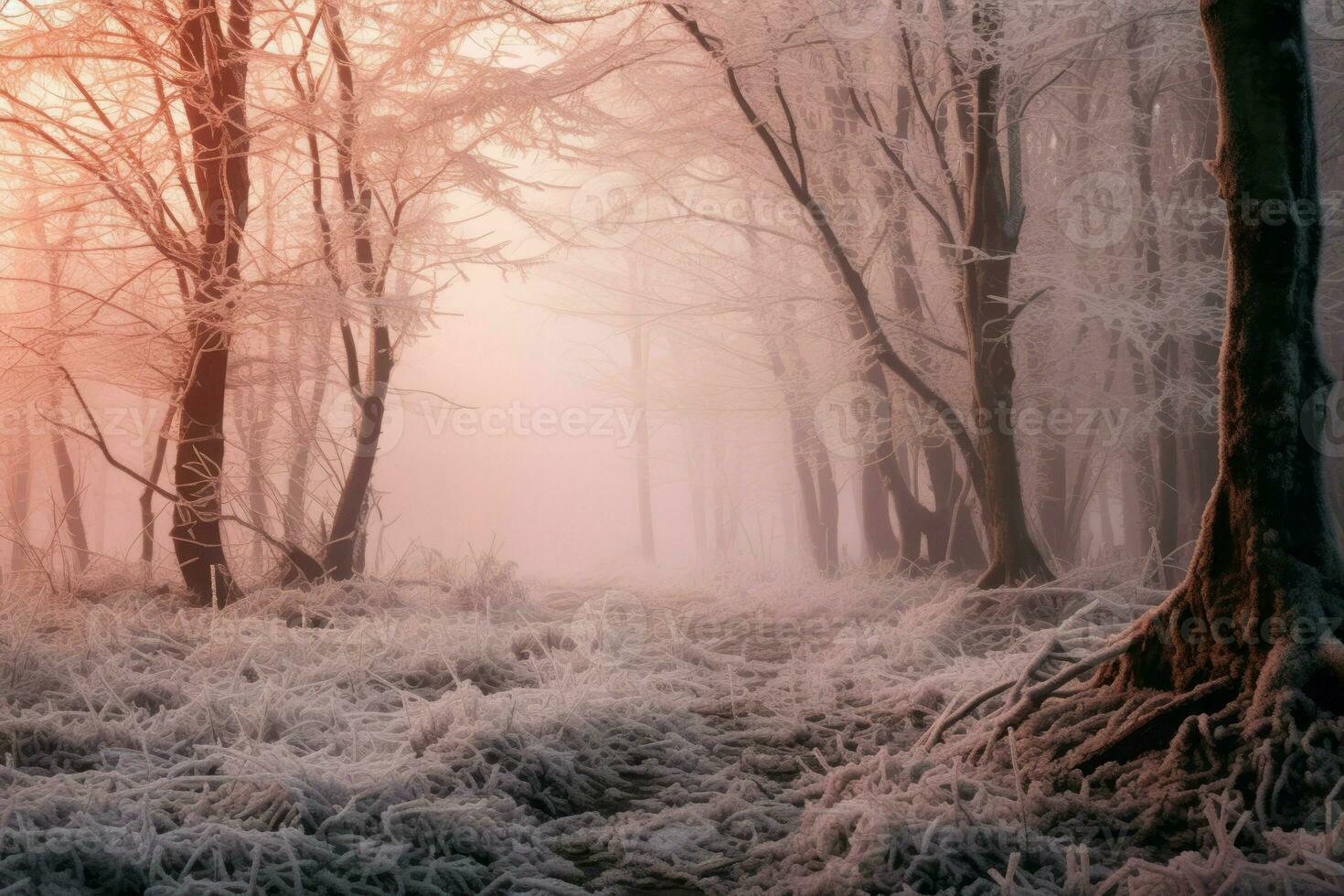 AI generated Winter Foggy Forests - Generative AI photo