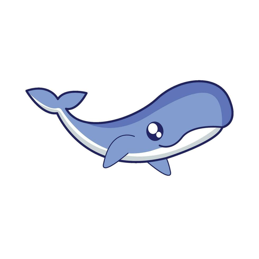whale fish illustration vector