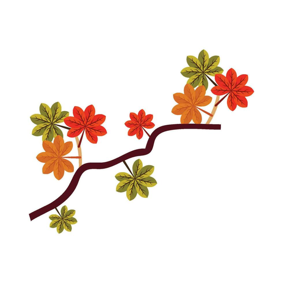 maple autumn decoration vector