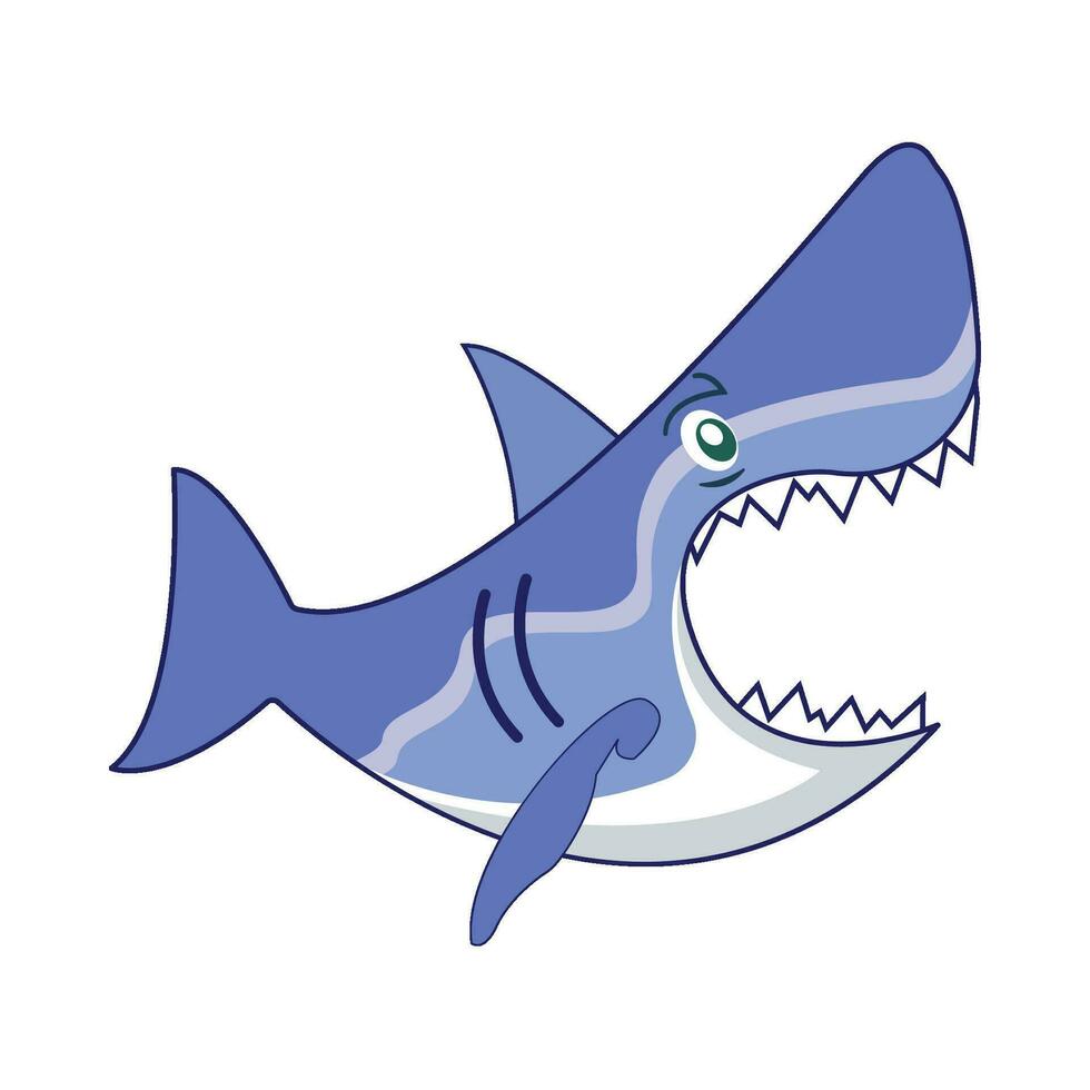 shark fish illustration vector