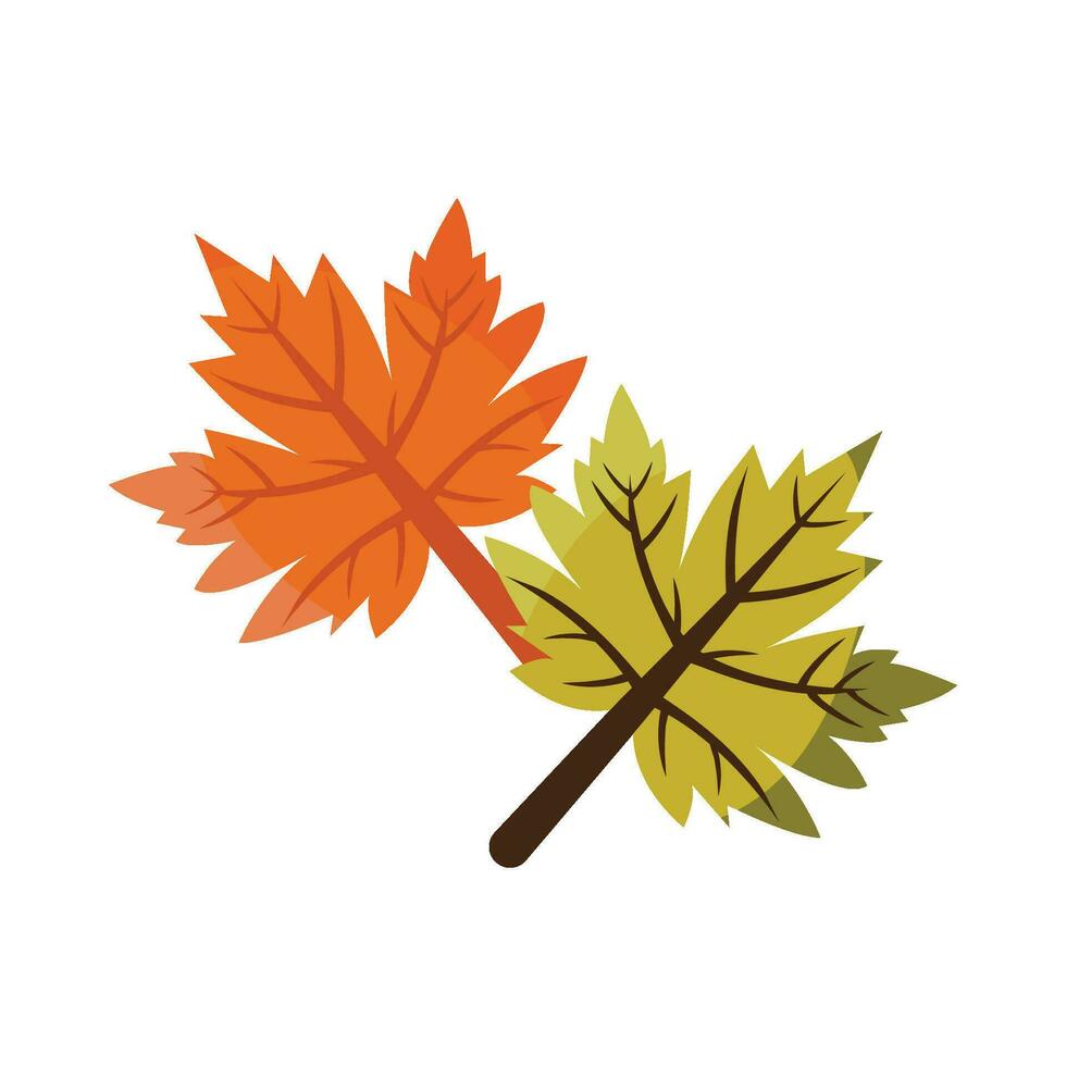 maple autumn leaf illustration vector
